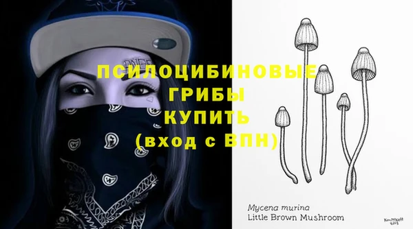 молекула духа Бронницы